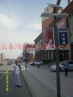 高端庭院灯点亮吉林夜色，太阳能照明成家居新宠